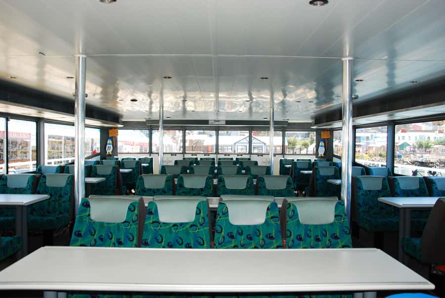Ushuaia: Penguin Watching Tour by Catamaran - Martillo Island, the penguin highlight