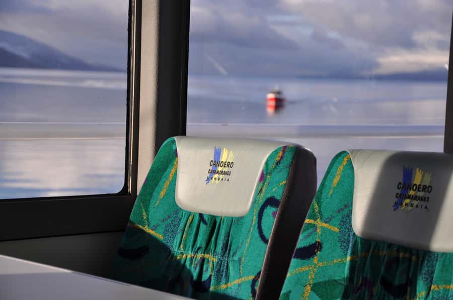 Ushuaia: Penguin Watching Tour by Catamaran - Comfort, guiding, and the practical details