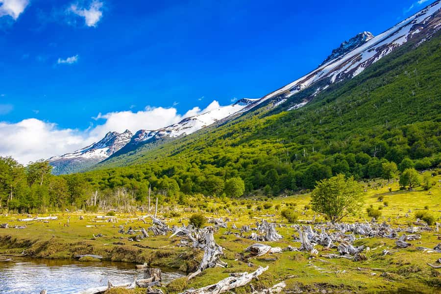 Ushuaia: Shared Experience "Tierra del Fuego" National Park - Choosing the End of the World Train