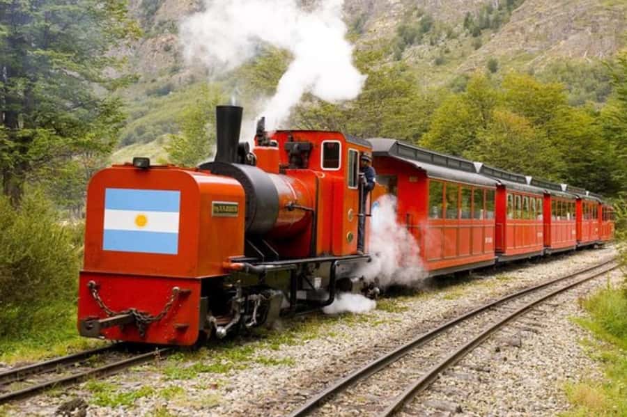 Ushuaia: Shared Experience "Tierra del Fuego" National Park - Ensenada Zaratiegui and the southern beech forest