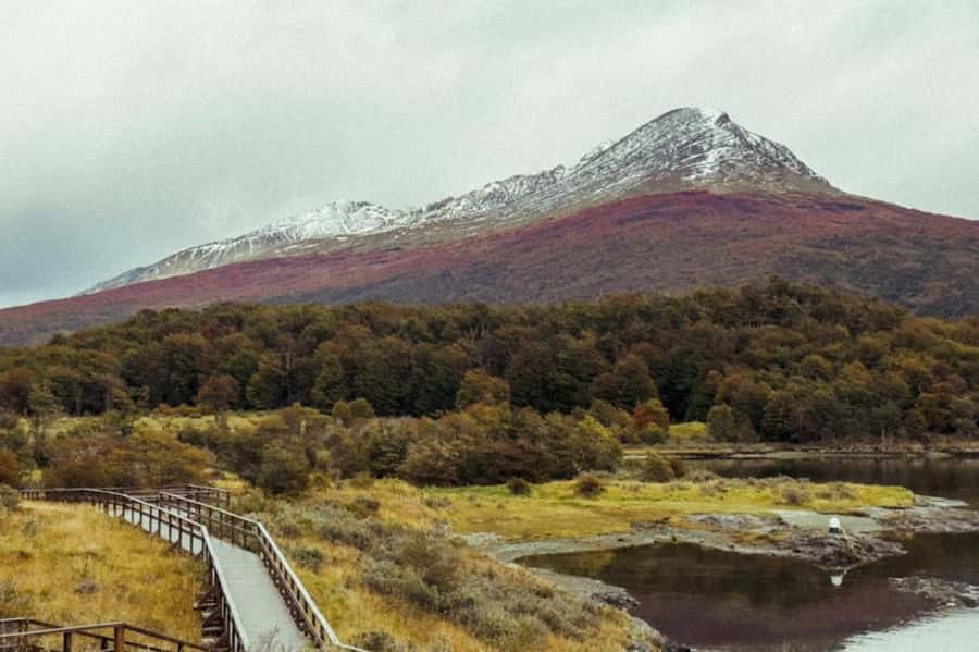 Ushuaia: Shared Experience "Tierra del Fuego" National Park - Verde Lagoon and the changing scenery