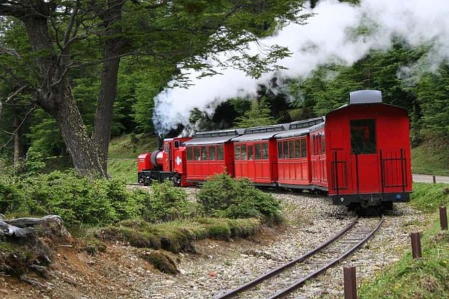 Ushuaia: Shared Experience "Tierra del Fuego" National Park - How much value do you get for $75?