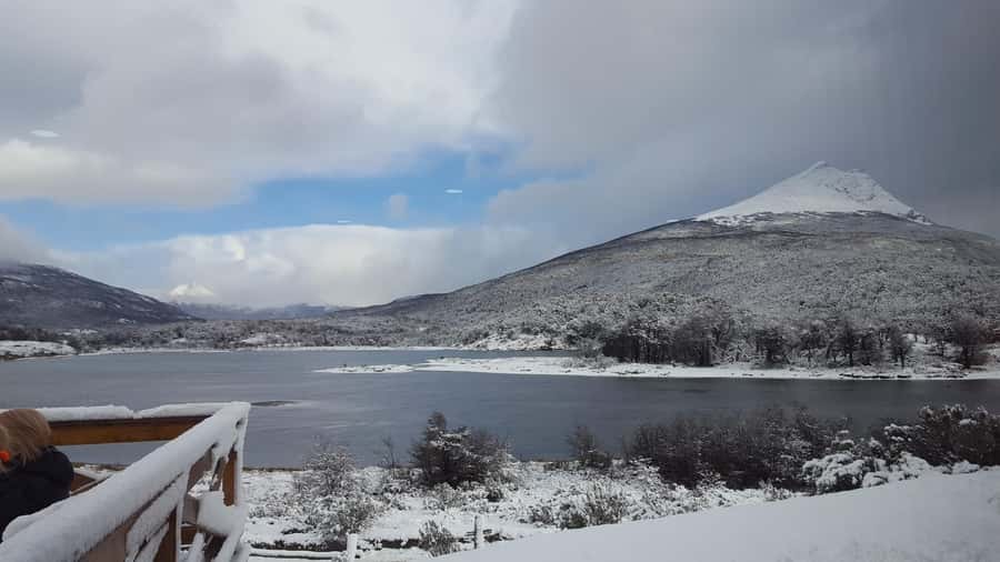 Ushuaia: Tierra del Fuego National Park - What the guide adds to the experience