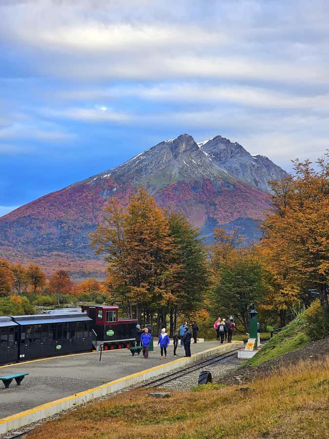 Ushuaia: Tierra del Fuego National Park - Price, park fees, and the real total