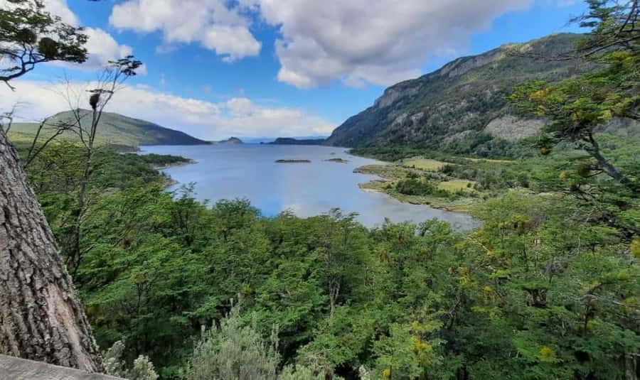 Ushuaia: Tierra del Fuego National Park Half-Day Tour - Lapataia Bay and the End of the World sign