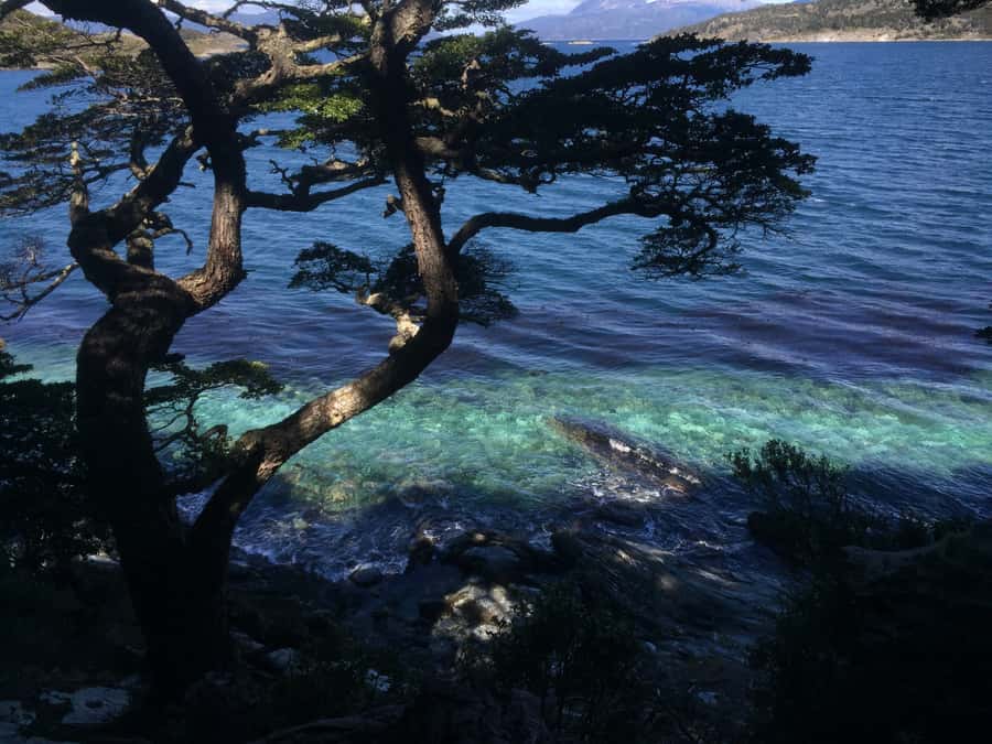 Ushuaia: Tierra del Fuego National Park Tour with Lunch - Lunch beside Acigami Lake
