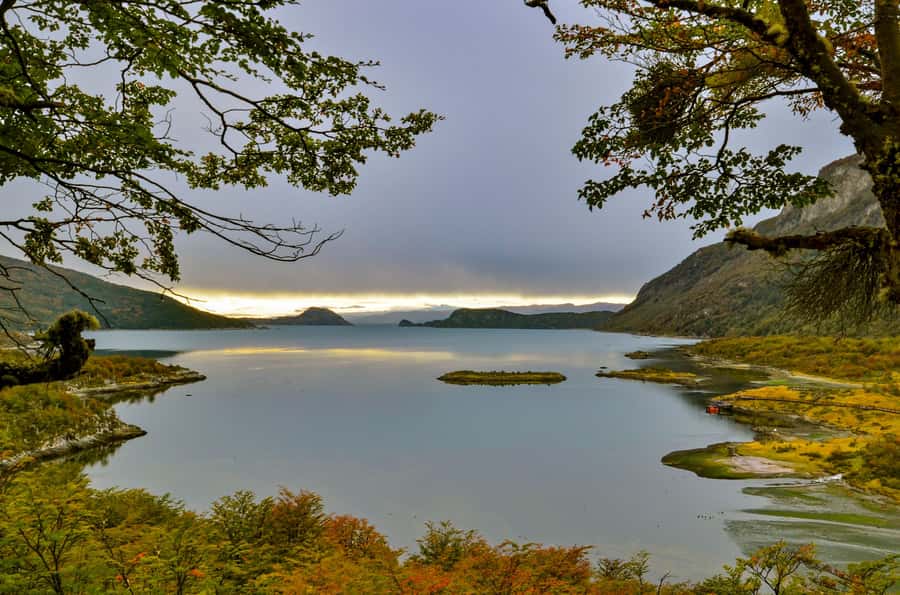 Ushuaia: Tierra del Fuego National Park Tour with Lunch - From Ushuaia to the park entrance