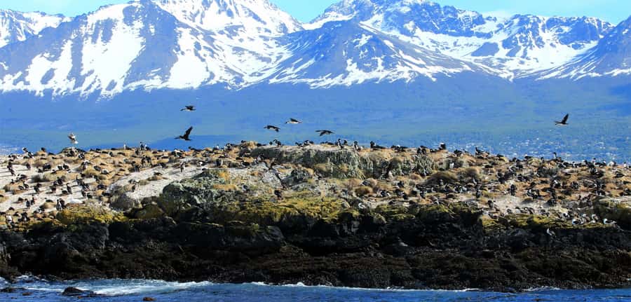 Ushuaia: Tour: Beagle Channel Navigation - Why this three-hour cruise works well in Ushuaia