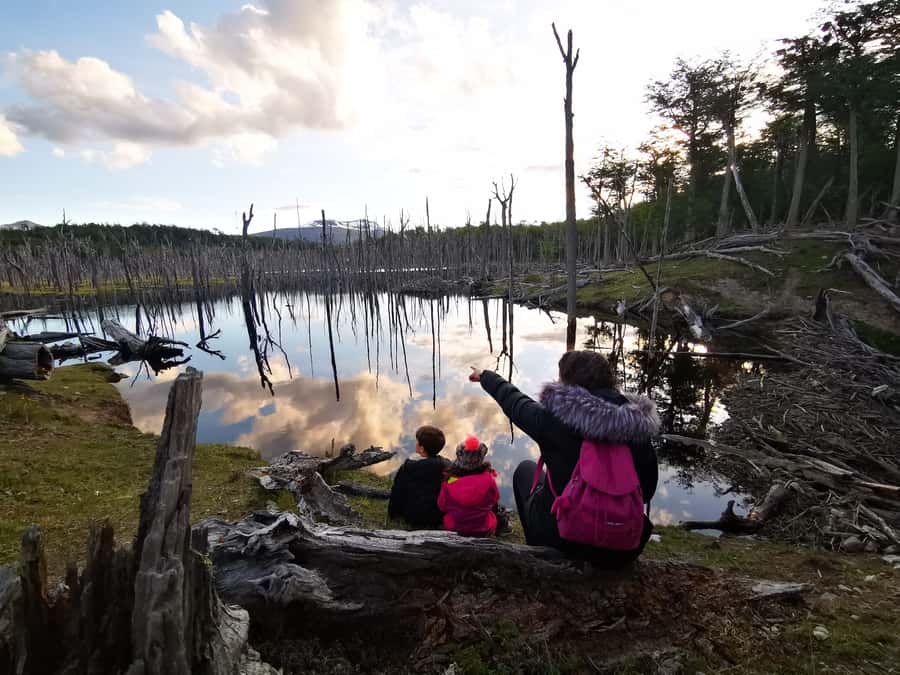 Ushuaia: Visit to Escondido and Fagnano Lakes PM - Reaching the shores of Fagnano Lake