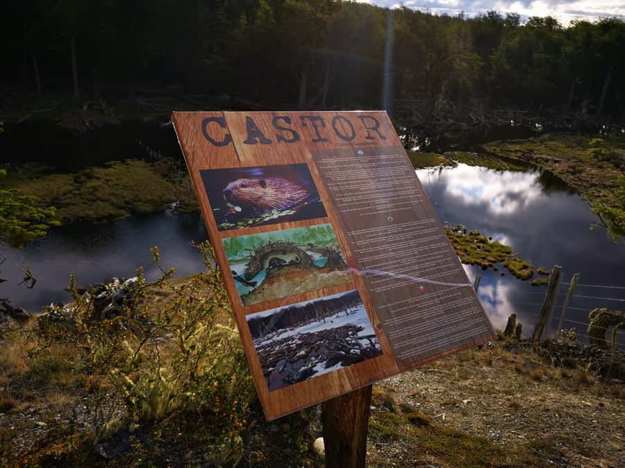 Ushuaia: Visit to Escondido and Fagnano Lakes PM - Small details that improve the afternoon