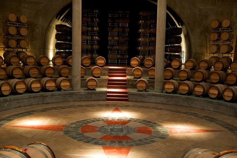 Valle de Uco: Private Full Day Wine Tour with 3-Course Lunch - Route 40 into the Valle de Uco