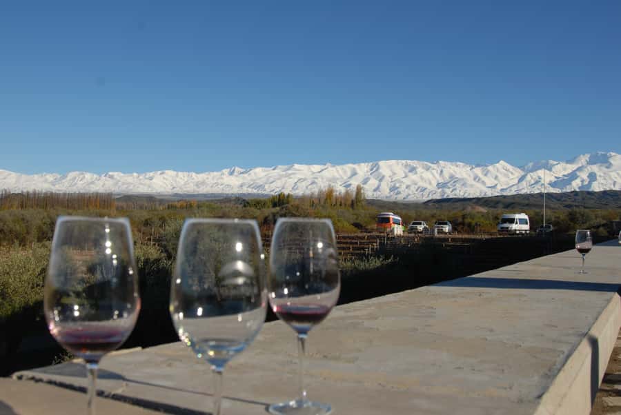 Valle de Uco: Private Full Day Wine Tour with 3-Course Lunch - Why Valle de Uco wines taste so intense