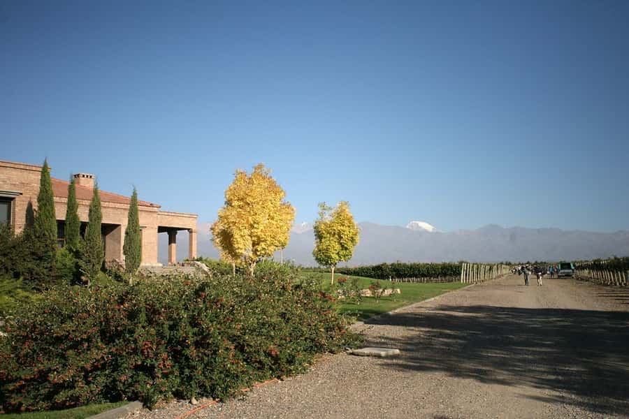 Valle de Uco: Private Full Day Wine Tour with 3-Course Lunch - What happens at the winery visits