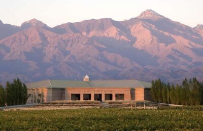 Valle de Uco: Private Full Day Wine Tour with 3-Course Lunch