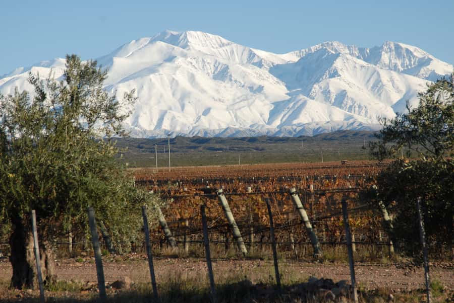 Valle de Uco: Private Full Day Wine Tour with 3-Course Lunch - Booking advice for a smoother wine day