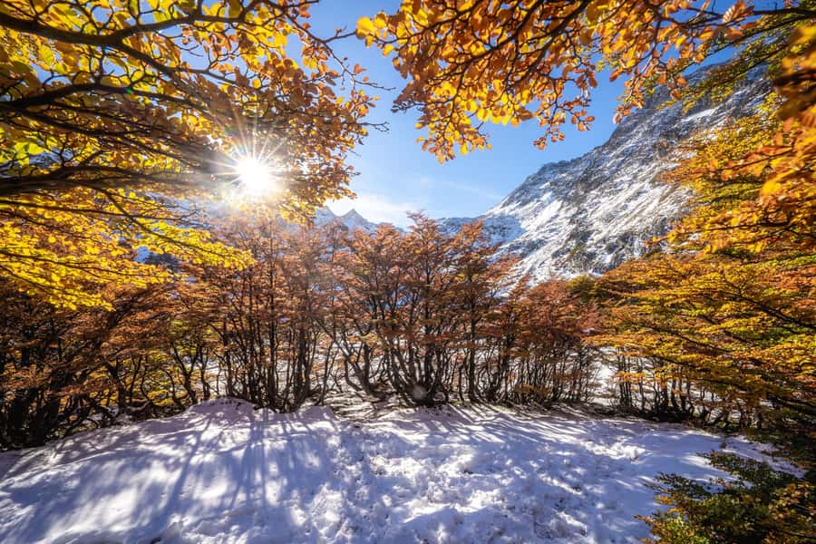 Vinciguerra Ice Experience - Why the Vinciguerra route is worth your day