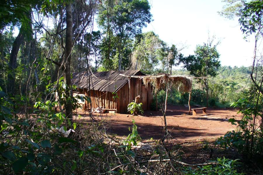 Visit Guarani village at Mborore Fort with brunch - What the reconstructed village can and cannot show you
