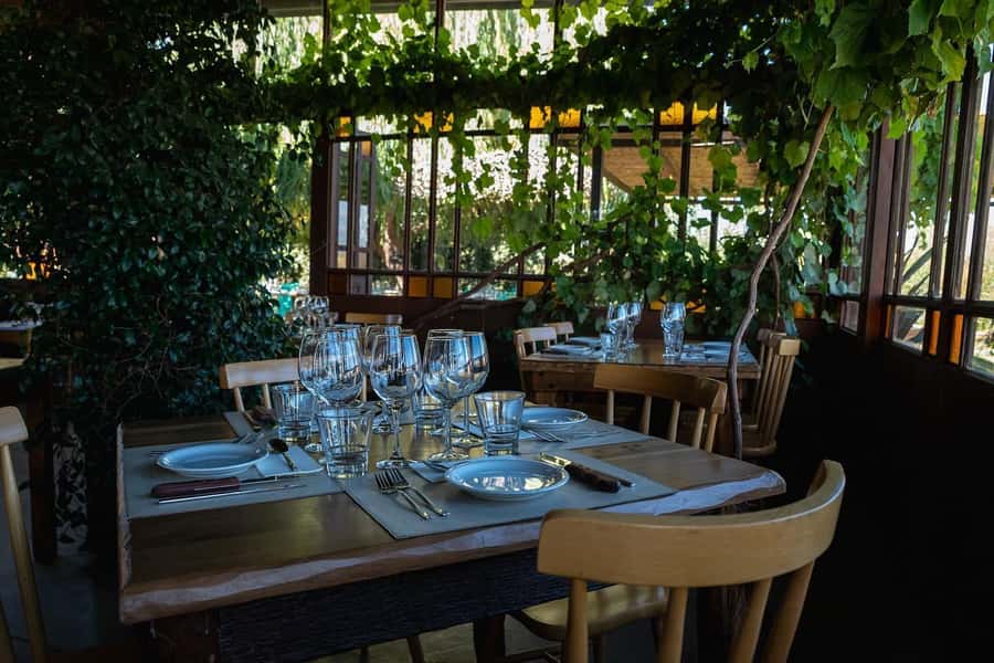 Visit & Tasting at Salentein + Lunch at La Azul - Key points at a glance