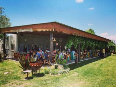 Visit & Tasting at Salentein + Lunch at La Azul