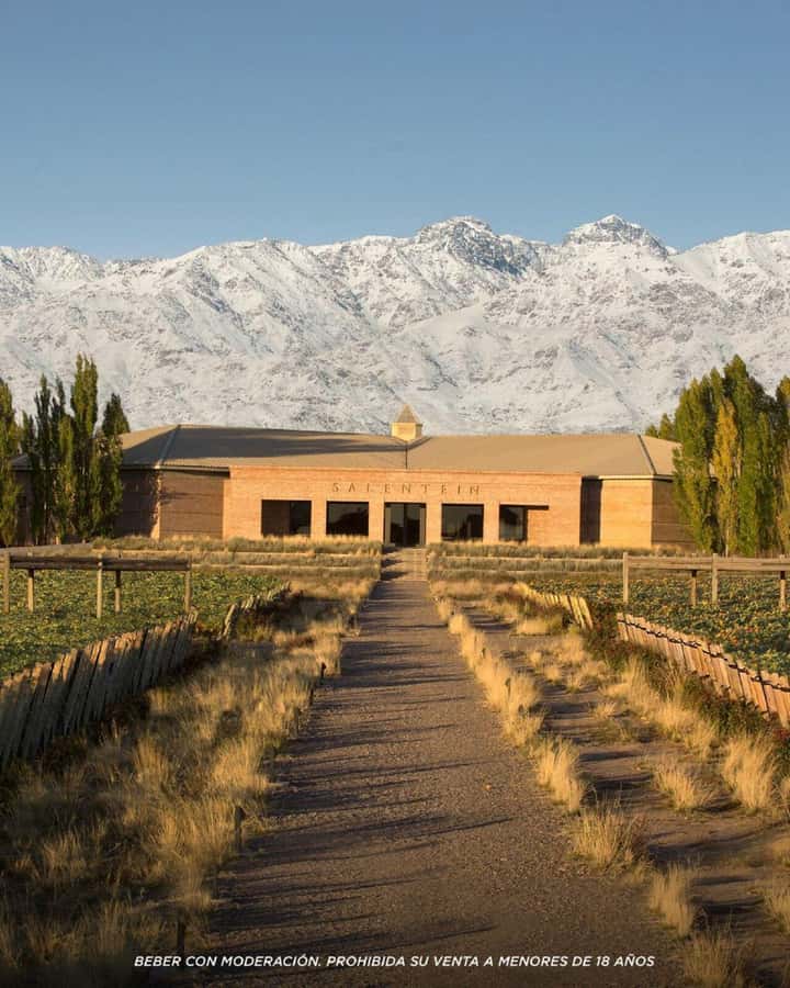 Visit & Tasting at Salentein + Lunch at La Azul - The lunch venue needs confirmation