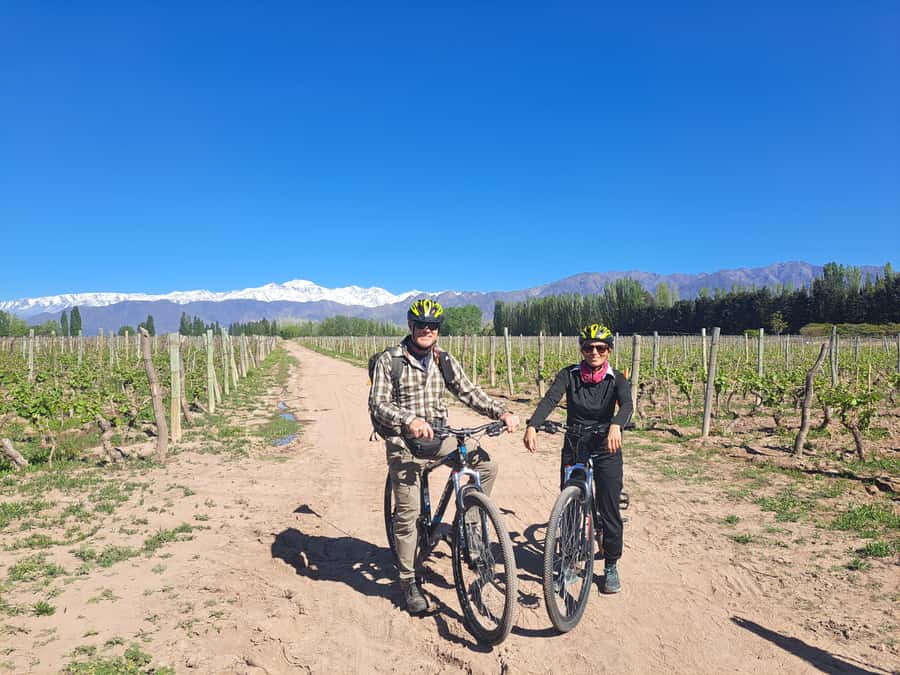 Wine and Chocolate Bike Tour: ride, taste, lunch, vineyards. - Finca Bandini shows the vineyard-to-bottle process