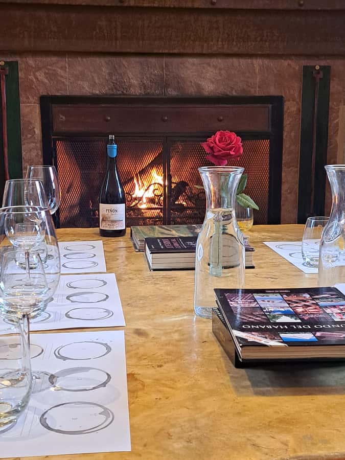 Wine and Chocolate Bike Tour: ride, taste, lunch, vineyards. - Durigutti adds gardens, geese, and a different winery setting