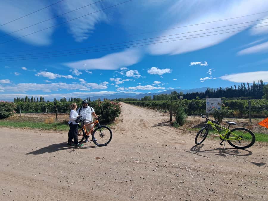 Wine and Chocolate Bike Tour: ride, taste, lunch, vineyards. - Who will enjoy this Mendoza outing most
