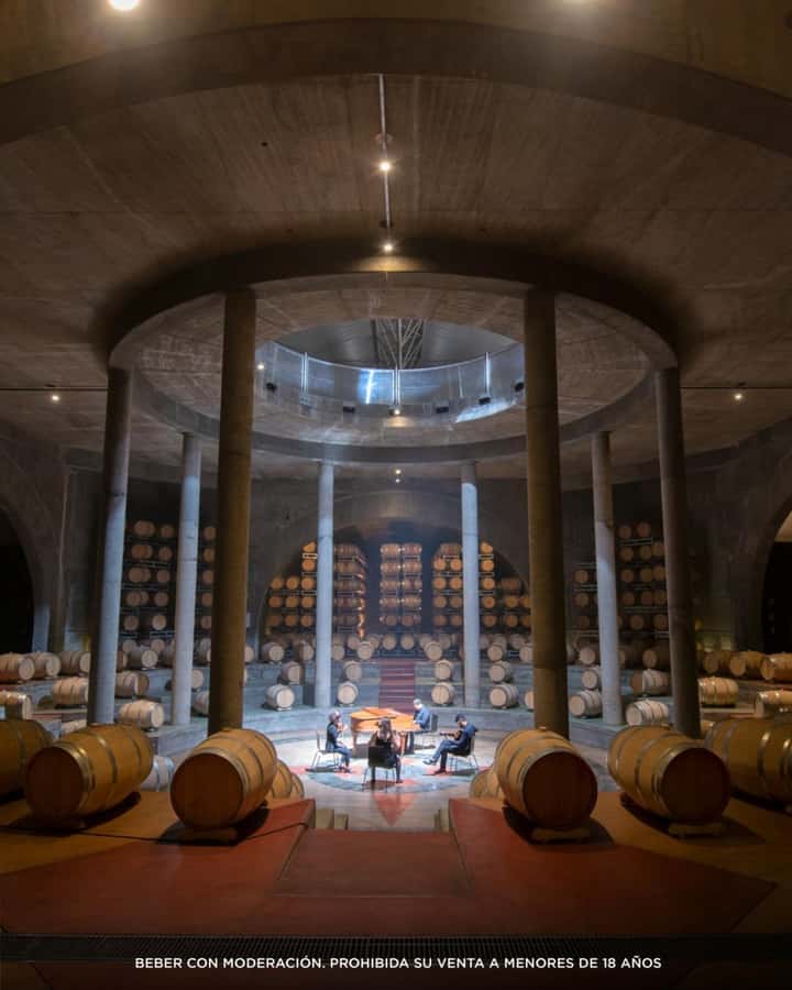 Wine Icons: Meet Salentein at the heart of Uco Valley - Key points to know before booking