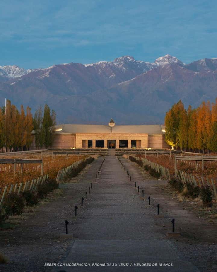 Wine Icons: Meet Salentein at the heart of Uco Valley - Why Salentein makes a good first winery visit