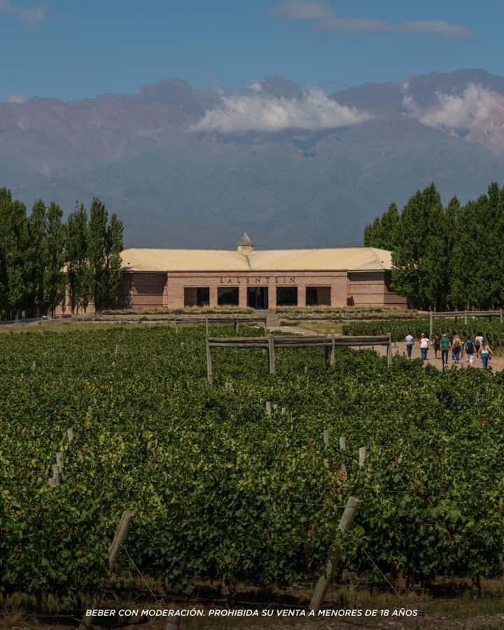 Wine Icons: Meet Salentein at the heart of Uco Valley - Four wines, four different points of comparison