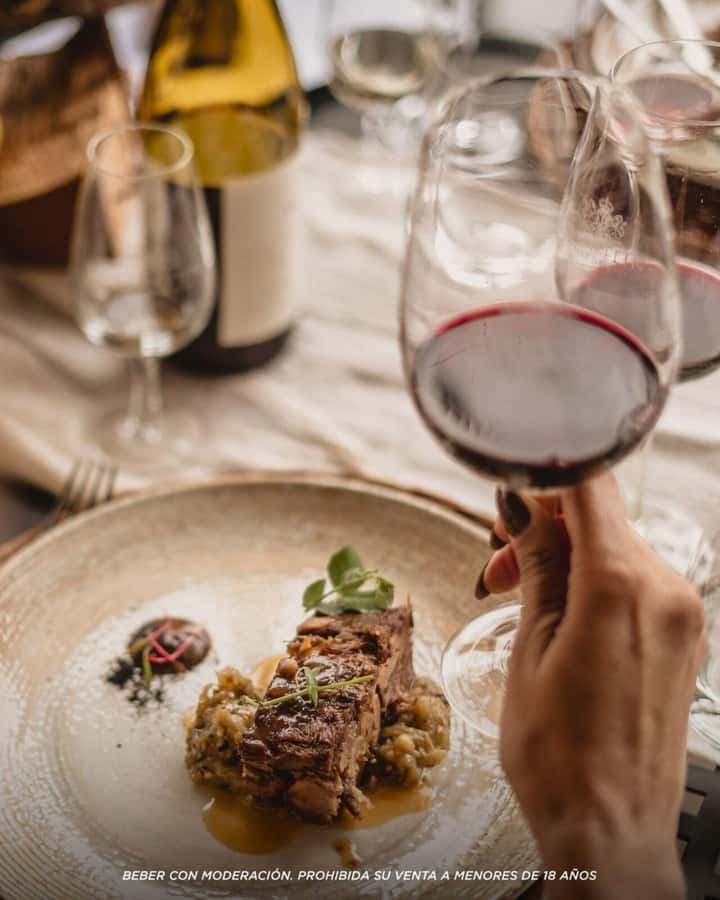 Wine Icons: Meet Salentein at the heart of Uco Valley - Is $160 a fair price?