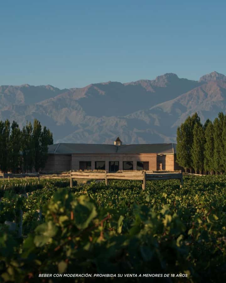 Wine Icons: Meet Salentein at the heart of Uco Valley - Timing: check the schedule carefully