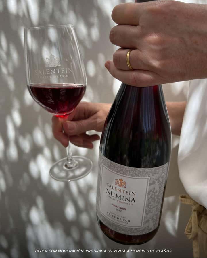 Wine Icons: Meet Salentein at the heart of Uco Valley - Who should book this Salentein visit?
