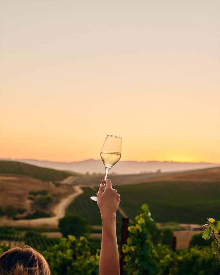 Wine Icons: Meet the sparkling world of Chandon - Walking through the gardens and winery