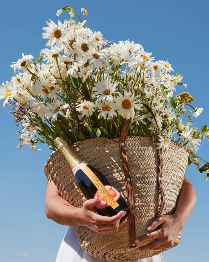 Wine Icons: Meet the sparkling world of Chandon - How to plan your day around the tasting
