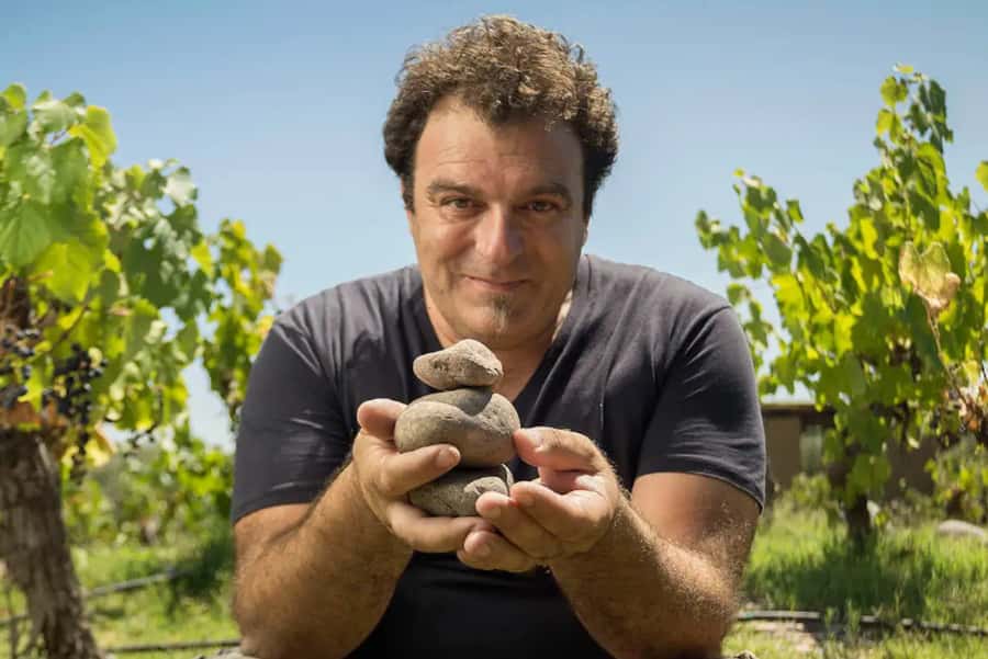 Wine Idols: Meet El Enemigo by Alejandro Vigil - Key points to know before booking