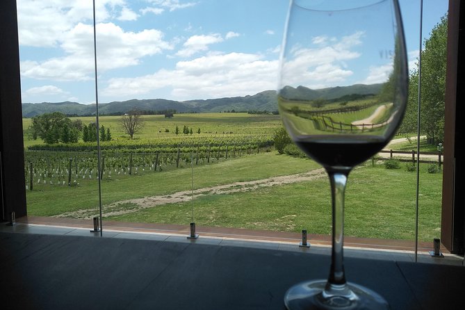 Wine Tour Privado a Calamuchita, Córdoba - Argentina - The Tasting, Food, and Views
