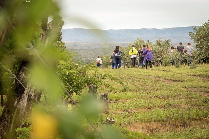 Wine Tour Privado a Calamuchita, Córdoba - Argentina - The Road to Calamuchita and Its Open Views